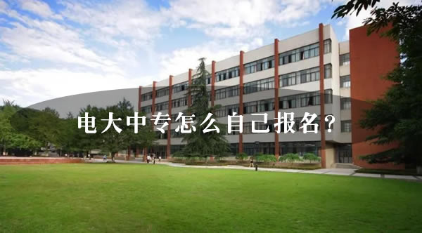 電大中專怎么自己報名？