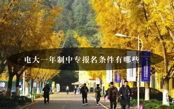 電大一年制中專報名條件有哪些？