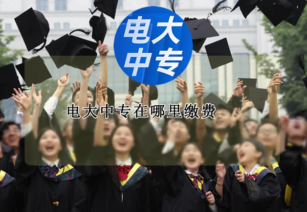 電大中專在哪里繳費？