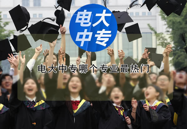 電大中專哪個專業最熱門？